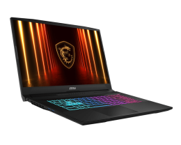 MSI Katana 17 Intel Core i9-14900HX RTX 5070 2.5К 240 Hz 16 Гб 1 Тб